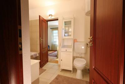 Casa de exceptie Campina - 21