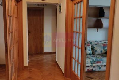 Bd Unirii, La Fantani, stradal - 17