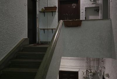 Vanzare apartament 2 camere decomandat, Vatra Luminoasa, 57mp, boxa subsol - 19
