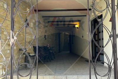 Vila  de vacanta Sibiel - 12