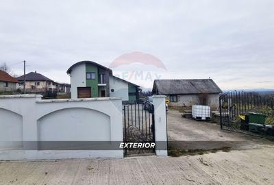 Casă la cheie, proprietate deosebită în Buzești, P+E și teren 3657 mp - 31
