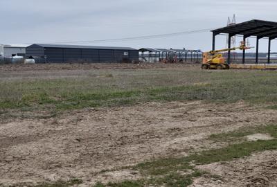 FARA COMISIOANE LOTURI TEREN CONSTRUCTII HALE in ZONA DE HALE merita vazut - 4