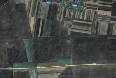 Teren agricol 10 ha, Peregul Mare, langa autostrada - 1