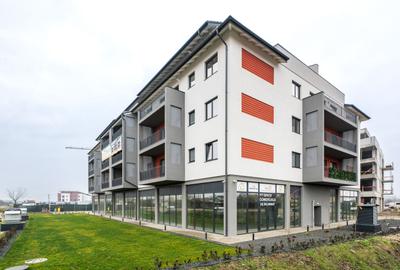 Spatiu Comercial  - Mehala - Strada Grigore Alexandrescu - 8