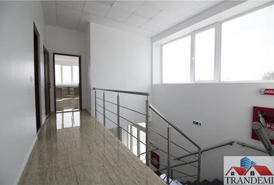 Oferta investitie -1300mp hala depozitare cu temperatura controlata - 5