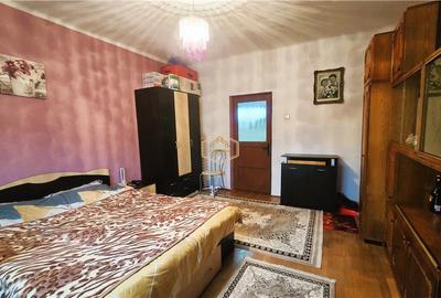 VIDEO | Casa cu teren generos si deschidere la 3 strazi | 10 minute de Satu Mare - 11