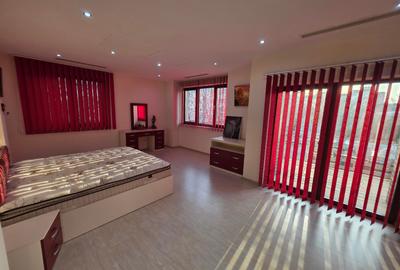 Timpuri Noi, 10 minute metrou, pe Cuza Voda, vila exclusivista P+1+M, lux, - 30