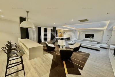 Descopera Luxul: Penthouse 414 mp Cartierul Francez Herastrau Nordului - 17