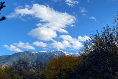 Teren intravilan Sohodol, priveliste catre Bucegi, Piatra Craiului,Magura Codlei - 4
