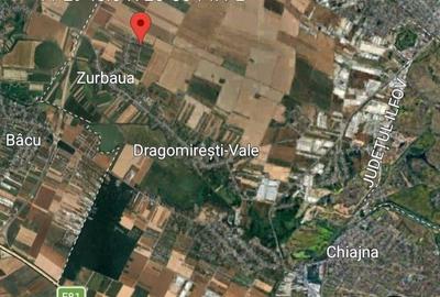 Teren Intravilan Zurbaua Dragomiresti 500mp - 11