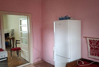 Apartament tip studio cu gradina Gruia strada Migdalului - 3
