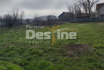 TEREN DE VANZARE DOMNESTI, 600 mp - 3