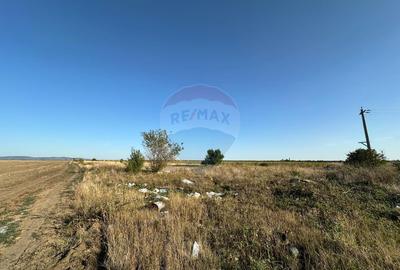 Teren extravilan de vânzare – 19.963 mp, E68 Mândruloc–Vladimirescu - 4
