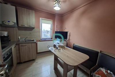 Apartament 2 camere,  Spitalul Judetean, etaj intermediar, renovat - 10