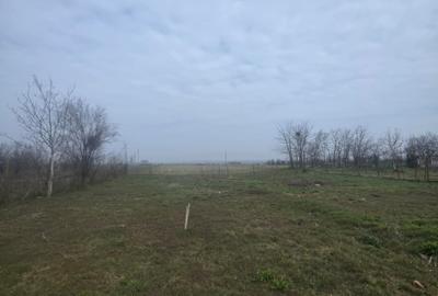 Teren intravilan, 5000 mp, zona Rovine 2 - 1