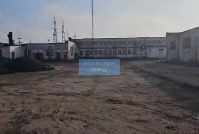 Spațiu administrativ și clădiri birouri + hale de vânzare în Giurgiu, - 3