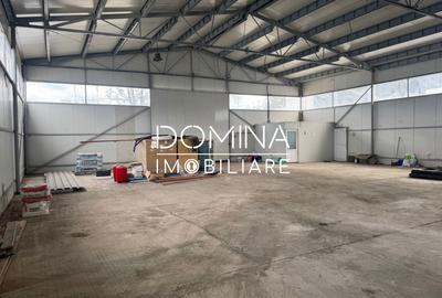 Inchiriere hala industriala, situata in Targu Jiu, strada Tineretului - 3