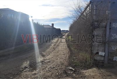 Otopeni - Strada Alexandru Ioan Cuza - 2