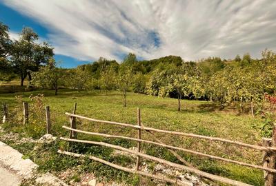 Teren 5.600 mp – Liniște, Natură și Verdeață | 10€/mp - Comision 0% - 5