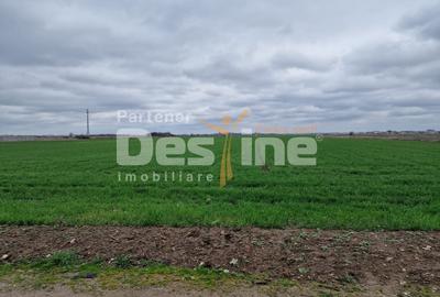TEREN DE VANZARE DRAGOMIRESTI VALE - 3