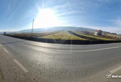 Teren Construcții intravilan de 5100 mp, în Mera