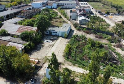 4 Hale + Teren intravilan | De vanzare | Salonta, jud. Bihor - 7