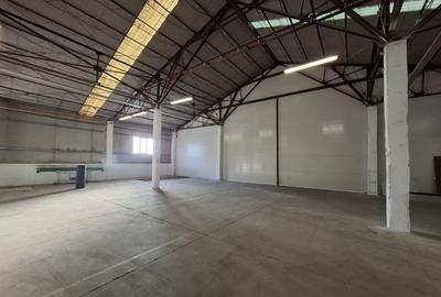Hale renovate Calea Baciului / 2 x 530 mp / 3 x 400 mp - 3
