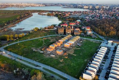 Vile individuale padurea Rosu - 6