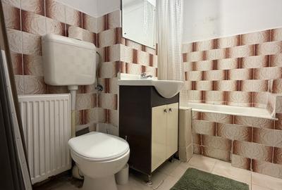 Apartament 3 camere, 70mp utili, parter, renovat -  Zona Dâmbovița - 9