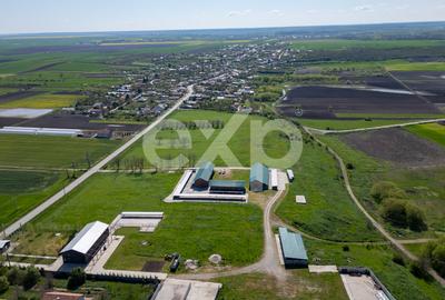 Teren Construcții intravilan de 105000 mp, în Crânguri