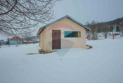 Casă cu 4 camere din cărămidă, de vânzare în zona Bratca-Damiș - 33