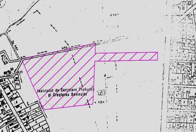 Teren vanzare 8 Ha -  Hornbach Balotesti - drum acces DN1 - 1