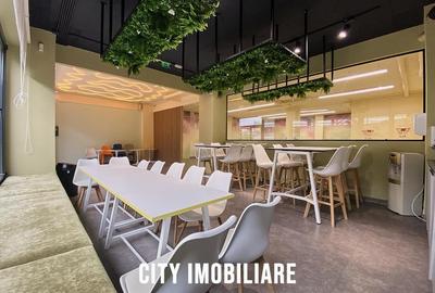Spatiu comercial 250 mp + terasa 70 mp, Grigorescu, Parter, Ideal HoReCa   Showr - 8