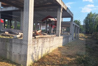 Constructie structura beton armat 810 MPC Curtea de Arges - 31