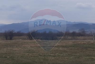 Teren 10,000mp Rasnov / Drumul Panicel - 4