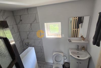 Oază de liniște și natură! Casă  cu 2 heleșteie și pârâu în curte – Probota - 7