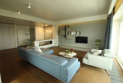 Iancu Nicolae-British School duplex  - 3 dormitoare - 3