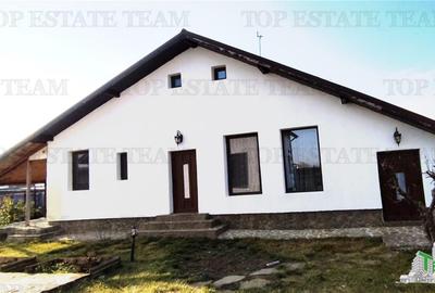 VANZARE PROPIETATE 2 CASE OTOPENI - 15