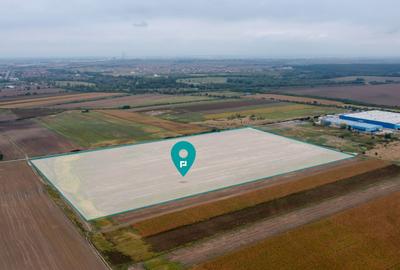 Teren agricol extravilan de 50000 mp, în Șag