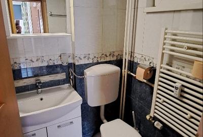 Parcul Circului-Lacul Tei, 3 camere de inchiriat, 7/10, mobilat/utilat, 2 bai - 14