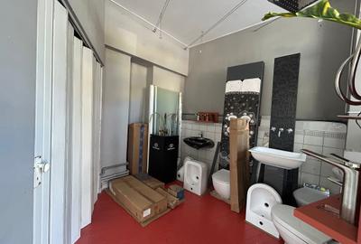 Spatiu Comercial parc Cismigiu, Mihail Kogalniceanu - 8