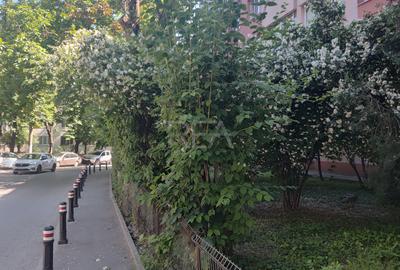 Apartament 3 camere Teius, Rahova etaj 1 - 2