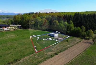 Proprietate de vanzare langa liziera pădurii Coas - 3