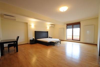 Satul Francez | Penthouse elegant luminos 6 camere parc Herastrau - 11