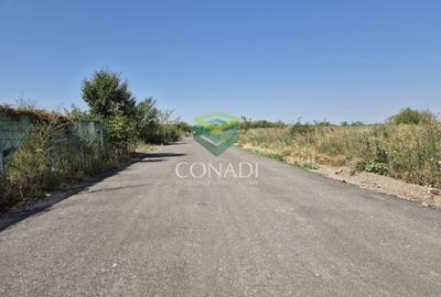 Teren de vanzare cu autorizatie pentru 2 hale - Otopeni - 10.000 mp - 14