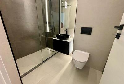 Inchiriere studio bloc nou Paulesti, prima inchiriere - 15