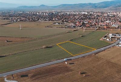 Teren agricol extravilan de 5550 mp, în Sud