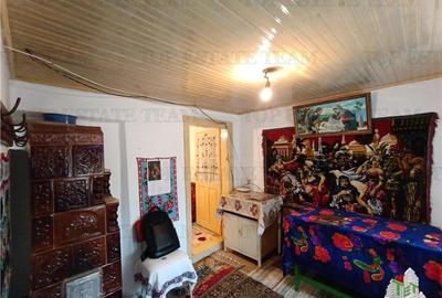 Casa taraneasca traditionala pe parter cu gradina si livada 1700mp in Gruiu, la - 15