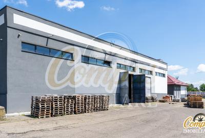 Depozit/hala  zona industrială Roman - 6