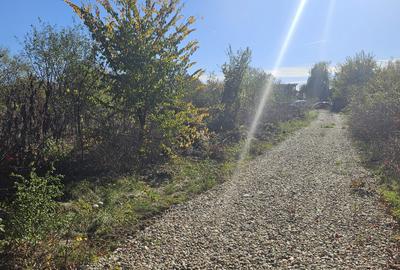 Lot de 720mp de vanzare in Vladiceasca, intrare DN1 - Snagov Plaza - 14